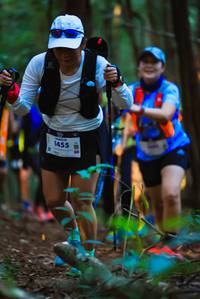 BIB: 1455
                            <button type="button" onclick="openModal(19360022)" class="btn btn-primary btn-sm float-right btn-popup" data-toggle="modal" data-target=".modal-high-quality">
                        <i class="fas fa-shopping-cart"></i> Add to Cart
                    </button>
                                            <button type="button" onclick="isThisMe(19360022, true)" class="btn btn-success btn-sm float-right btn-popup btn-isme hidden" data-toggle="tooltip" data-placement="bottom" title="นี่คือรูปของคุณใช่ไหม คลิกที่นี่เพื่อเอาเข้าอัลบั้ม">
                        <i class="fas fa-plus"></i> Add to album
                    </button>
                    <button type="button" onclick="isThisMe(19360022, false)" class="btn btn-warning btn-sm float-right btn-popup btn-isnotme hidden">
                        <i class="fas fa-ban"></i> Remove from album
                    </button>